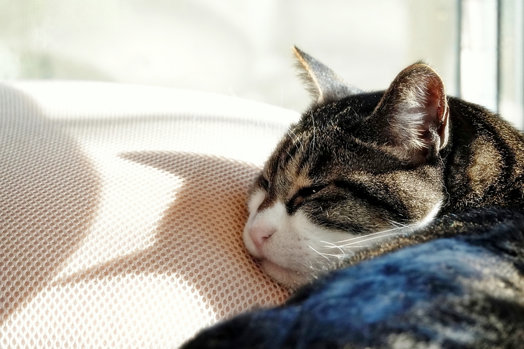 幸せ時間