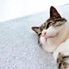離脱