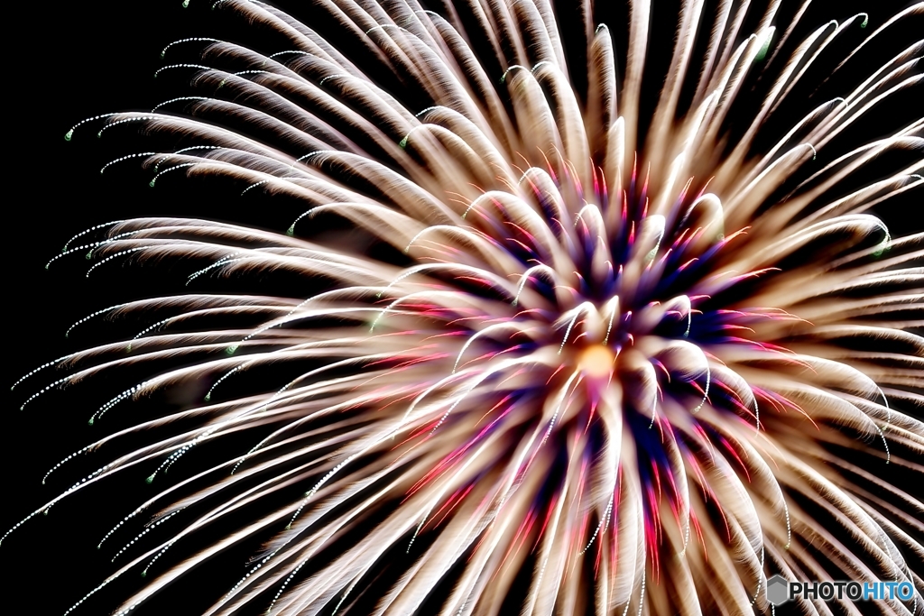 Fireworks (2016高瀬川納涼大花火大会3) 