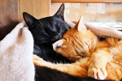 寄り添って (rai & fuu) 