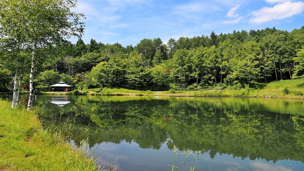 池のほとりで