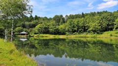 池のほとりで