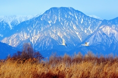 蒼い山