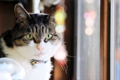 ひかりの粒と (sora)