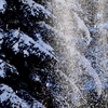 Snow Shower