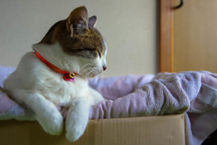静かな時間