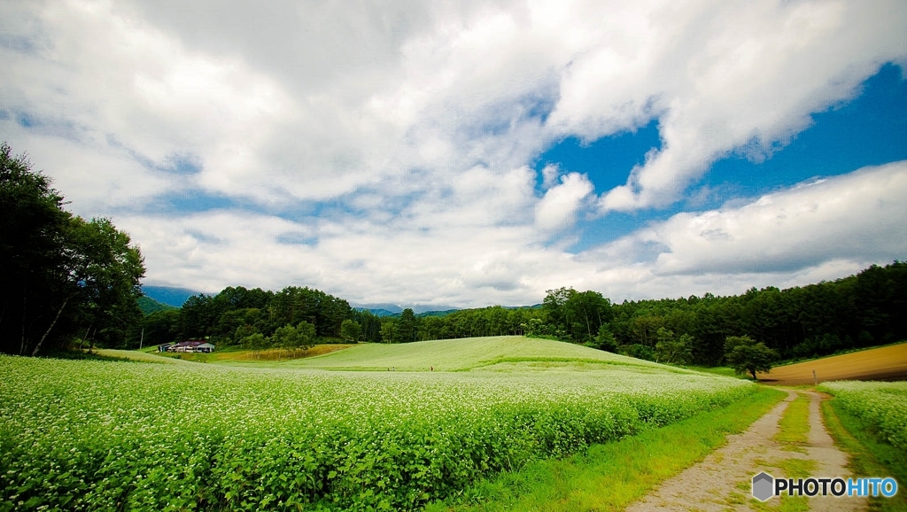 中山高原