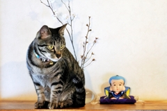 福助と (shima)