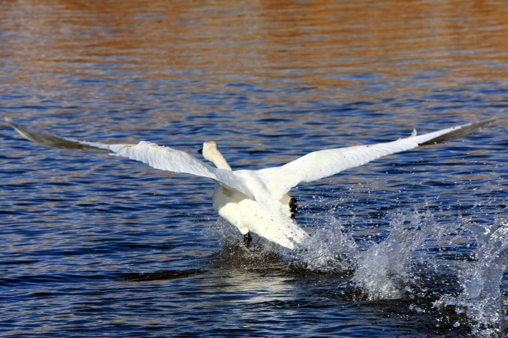 Takeoff