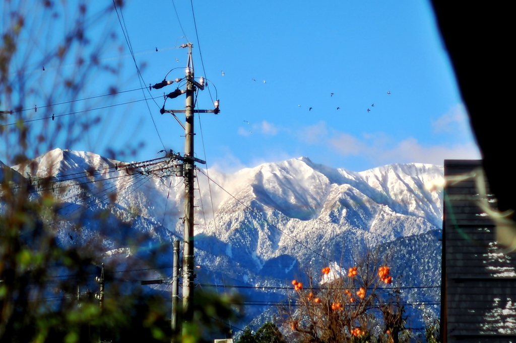 初雪の朝