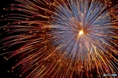 Fireworks (2015高瀬川納涼大花火大会3)