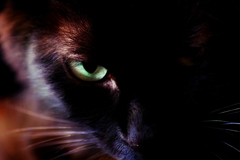 Captured