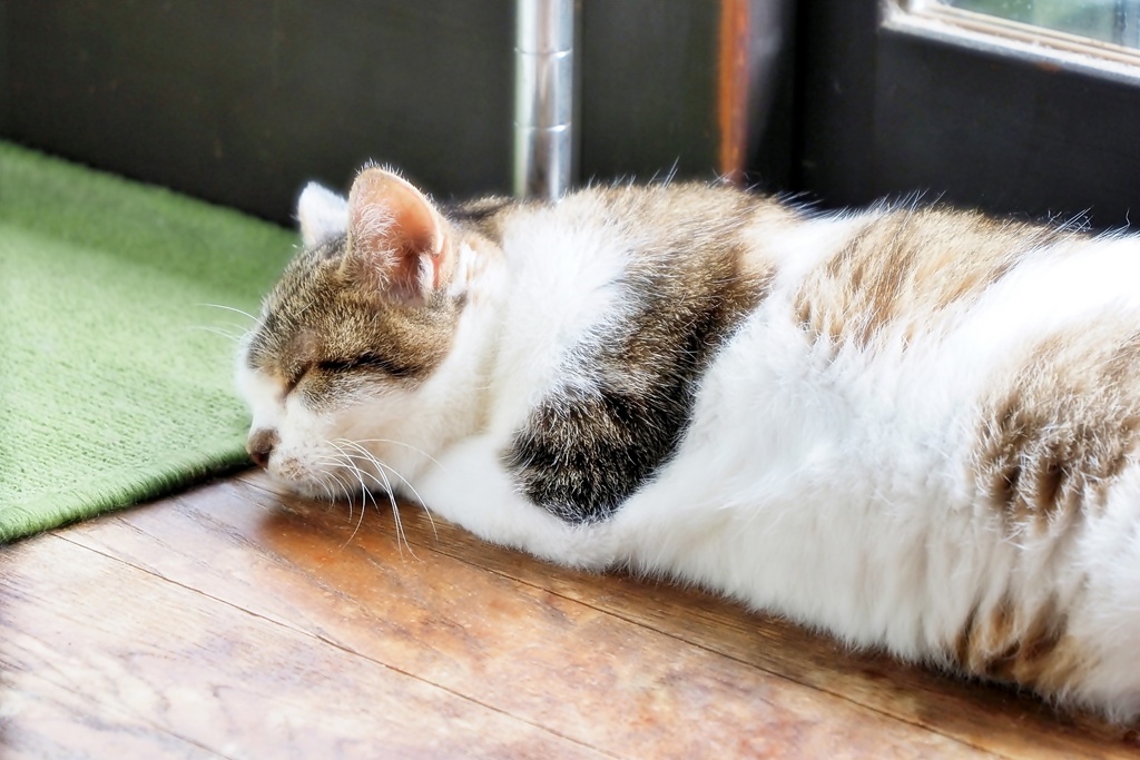 あんしん寝