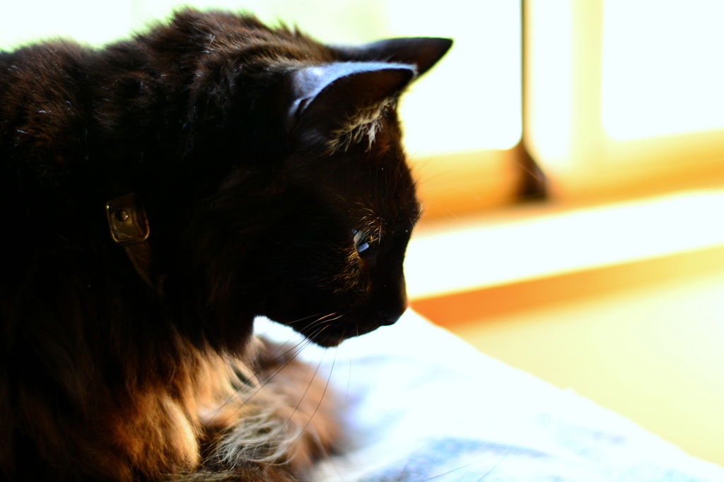 夕陽の入る窓辺