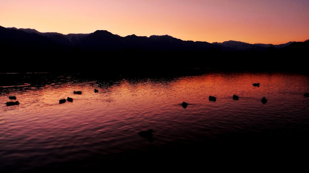 安曇野夕景（水鳥）