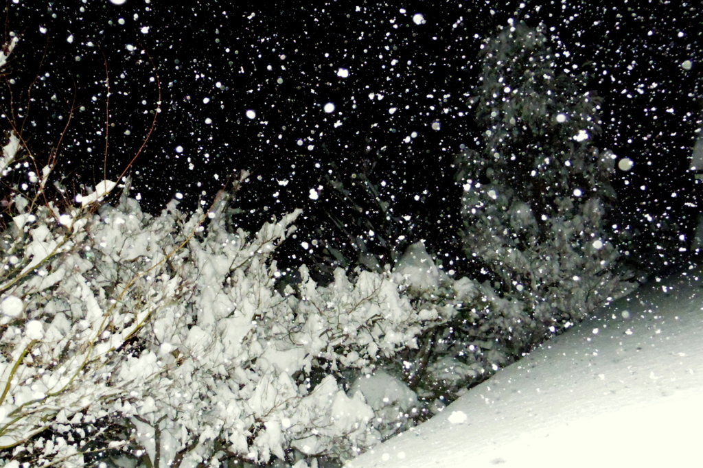 大雪の夜 ②