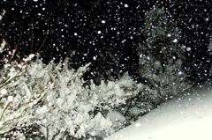 大雪の夜 ②