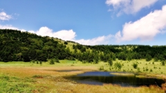 湿原の池