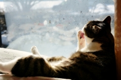 Peaceful Day