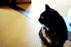 佇んで