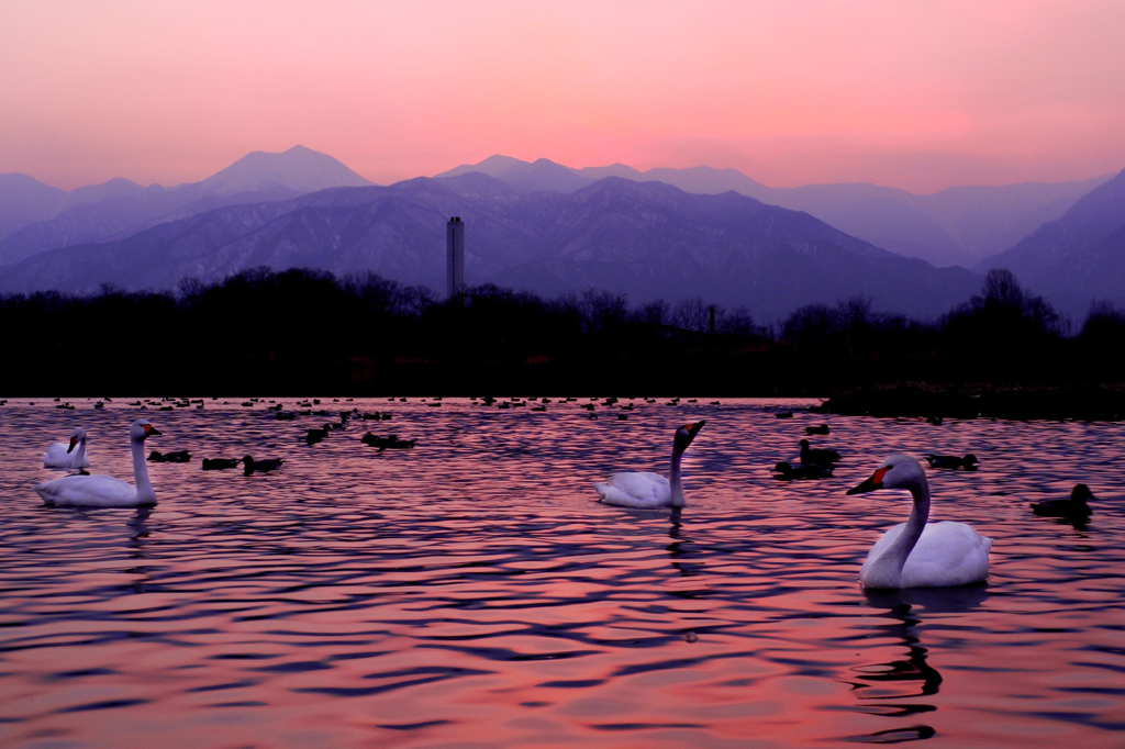 安曇野夕景（あかね色）