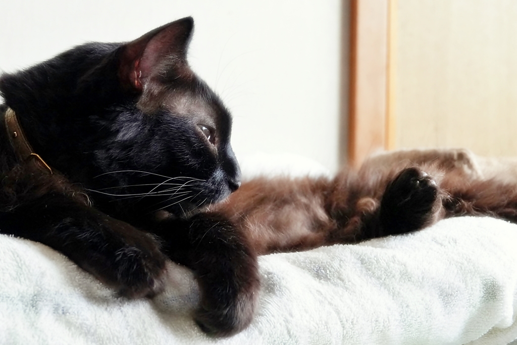 オフタイム(reo)