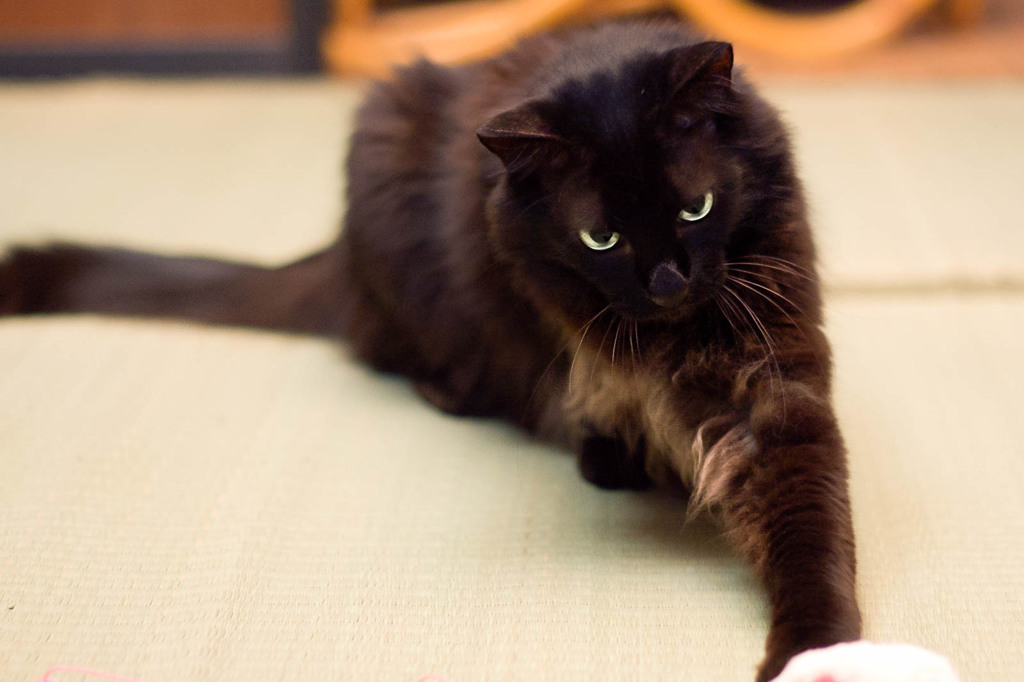Catch!