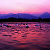 茜色の夕刻