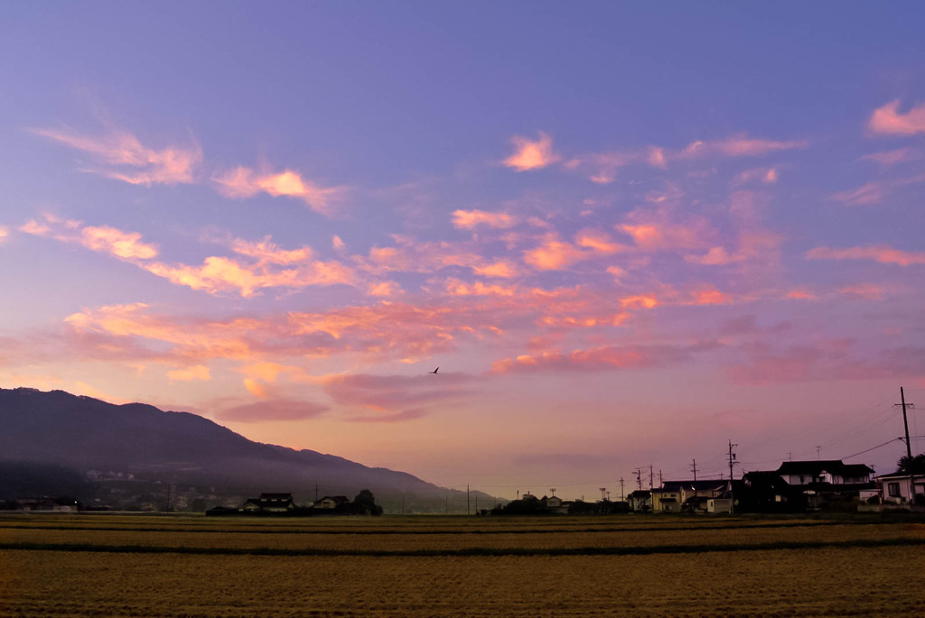 Morning glow