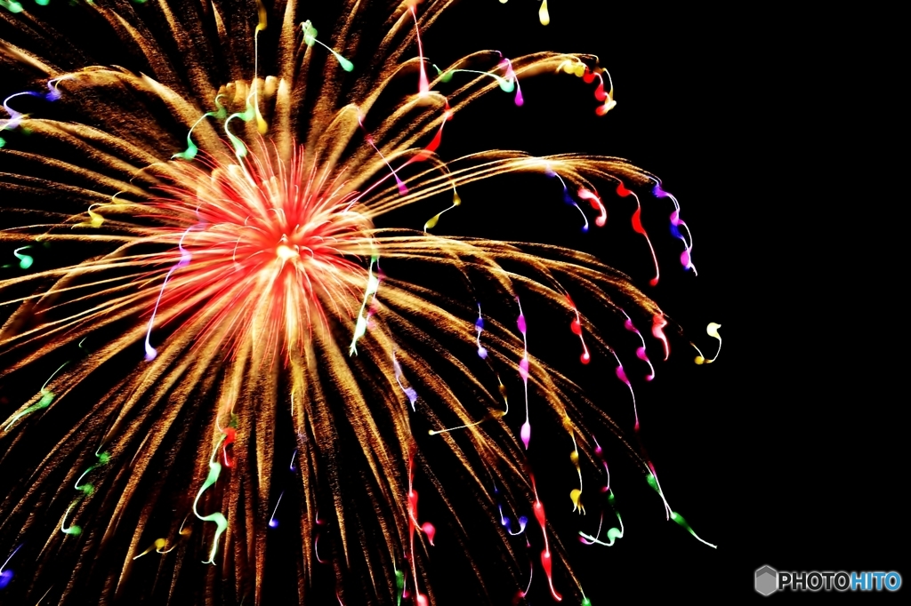 Fireworks (2017高瀬川納涼大花火大会8) 