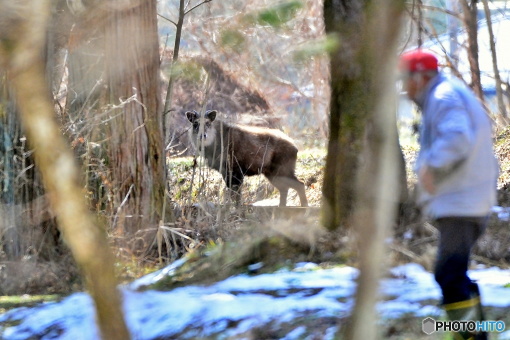 里山の森で