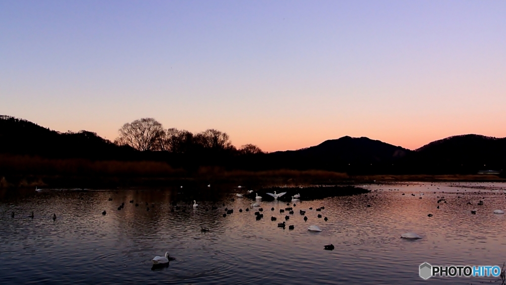 夕刻の池