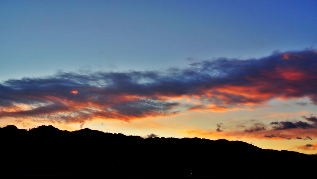 A morning color