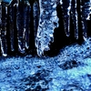 Ice of the mountain stream