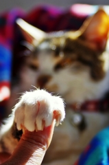 ギュッ