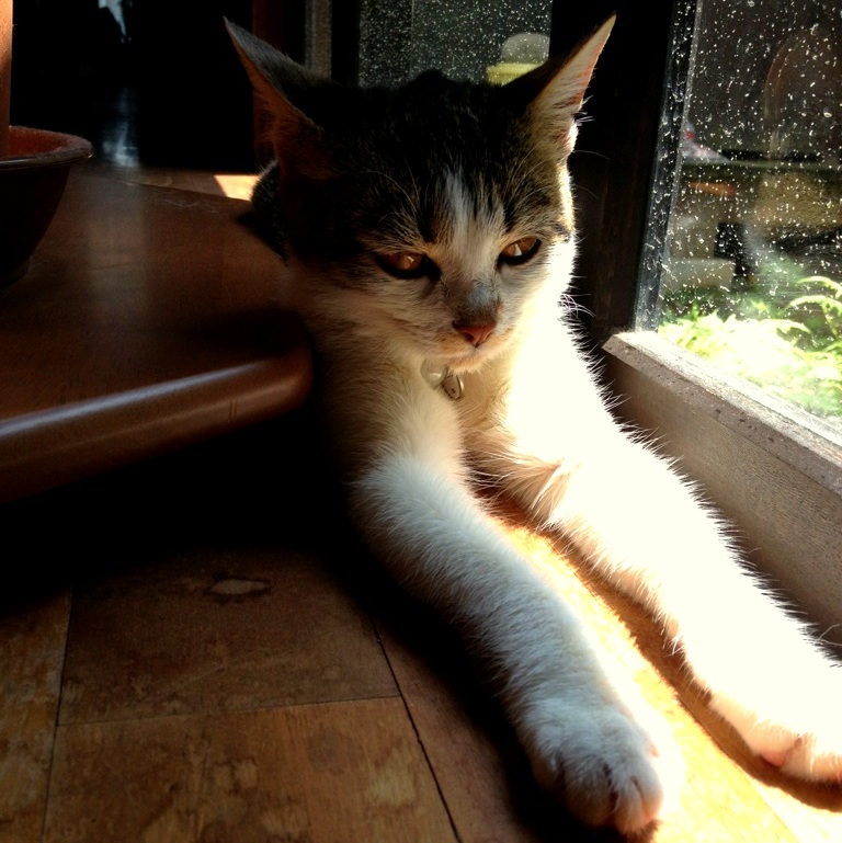 ハマってるの...