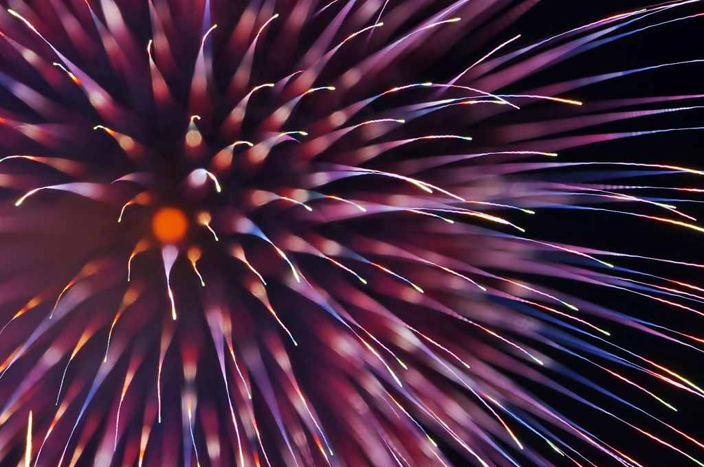 Fireworks (2019高瀬川納涼大花火大会④）
