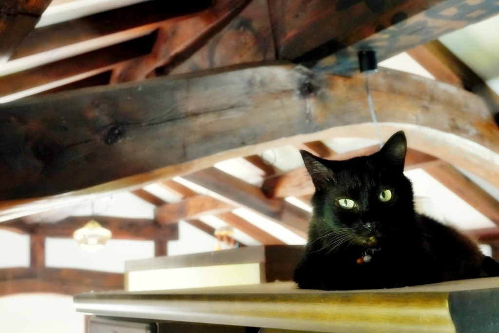 お気に入りの場所