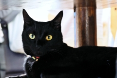 冬の定位置 (rai)