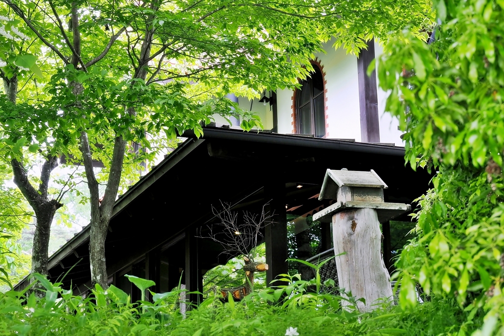 清里　萌木の村 (ⅴ)