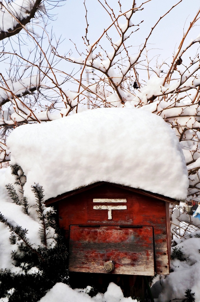 雪の朝*