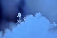 snow crystal 2