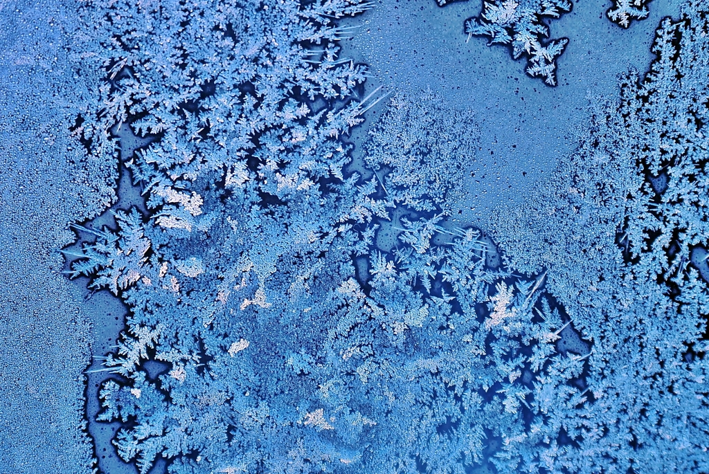 アイスフラワー -1-