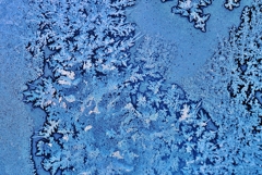 アイスフラワー -1-