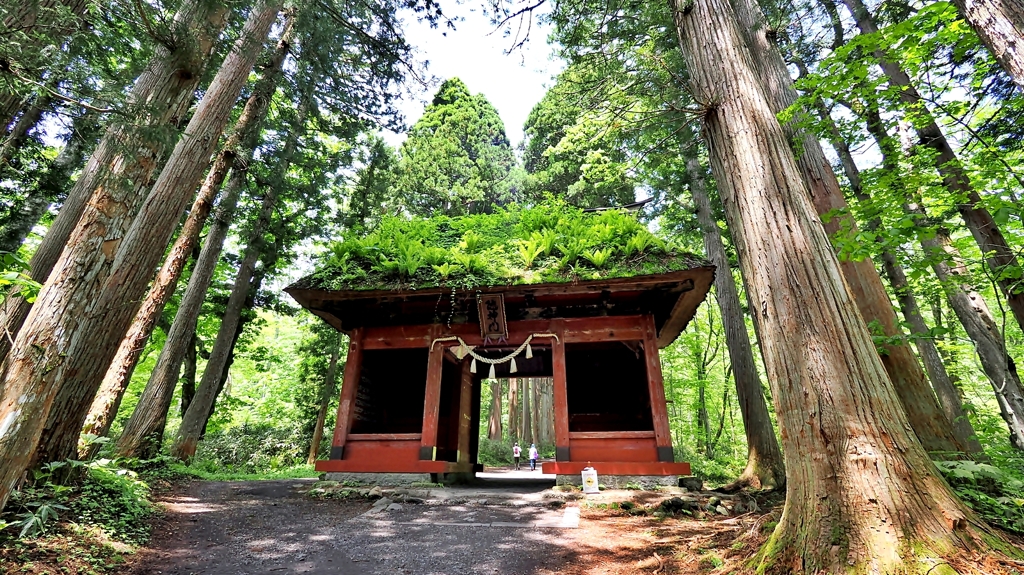 戸隠神社　随神門