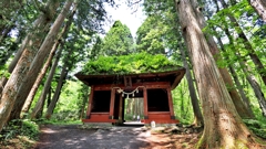 戸隠神社　随神門
