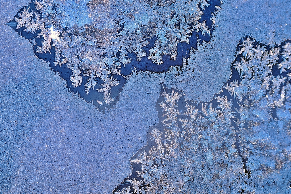 アイスフラワー -3- 