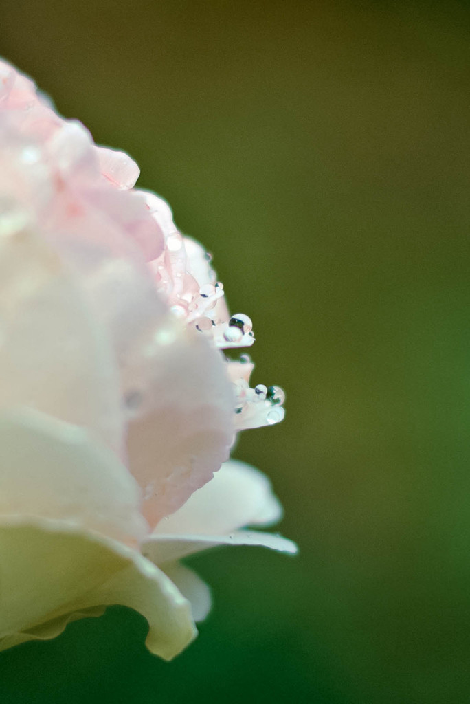 雨あがり