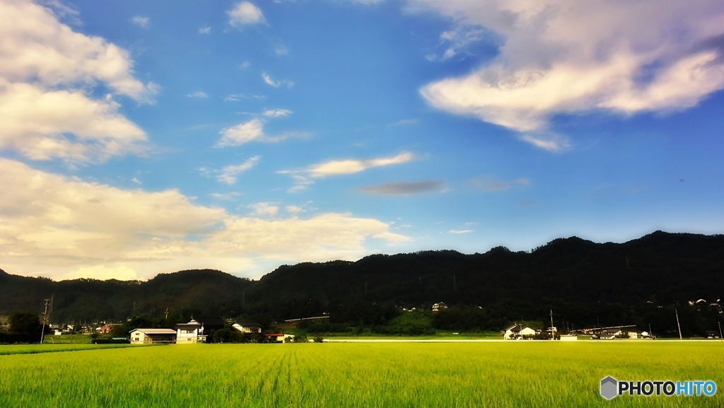 雨あがり