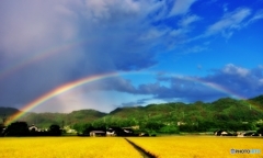 雨の弓